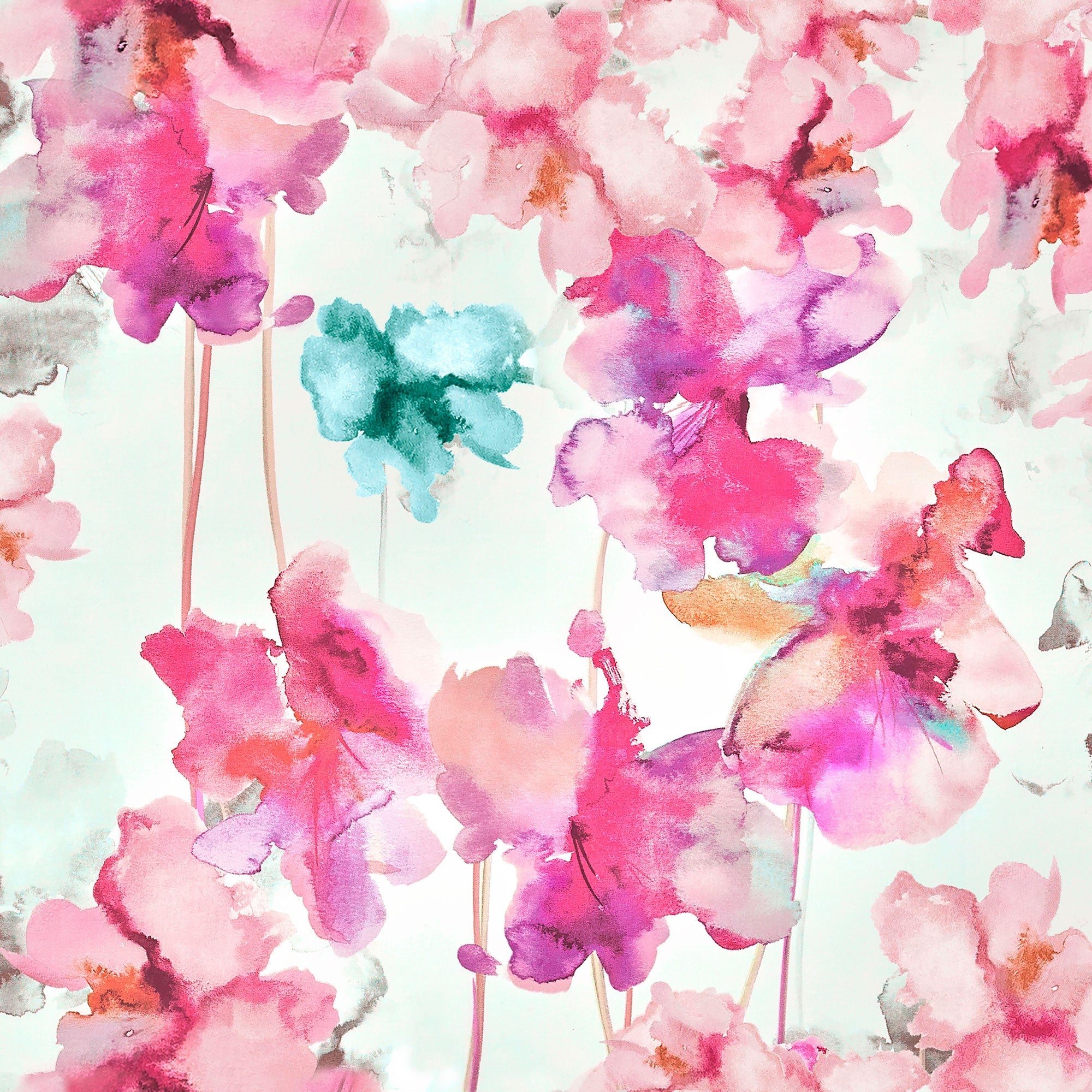 #colore_orchidee rosa