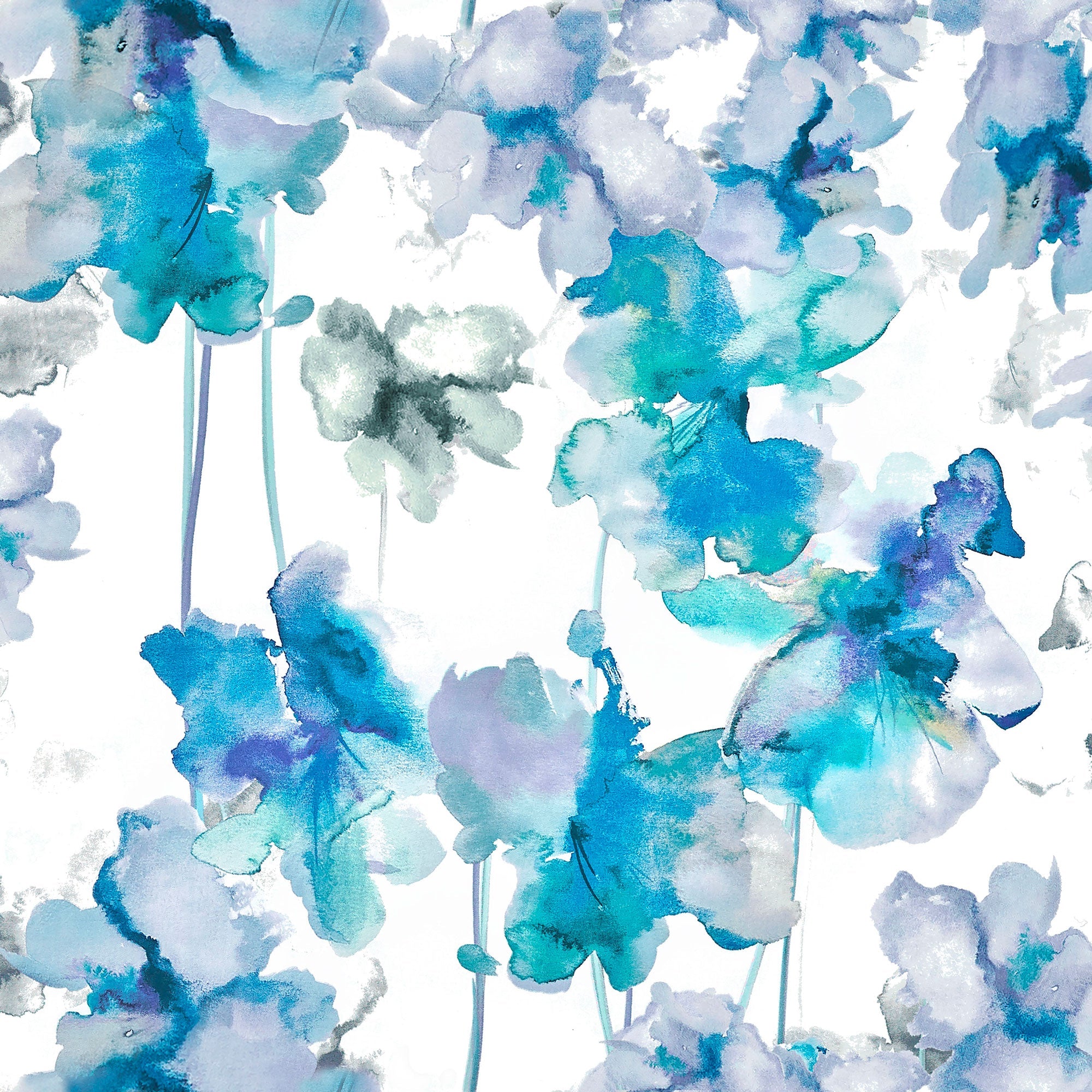 #colore_orchidee blu