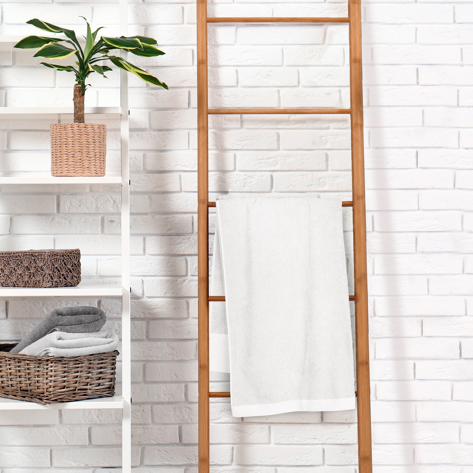 #colore_bianco candido