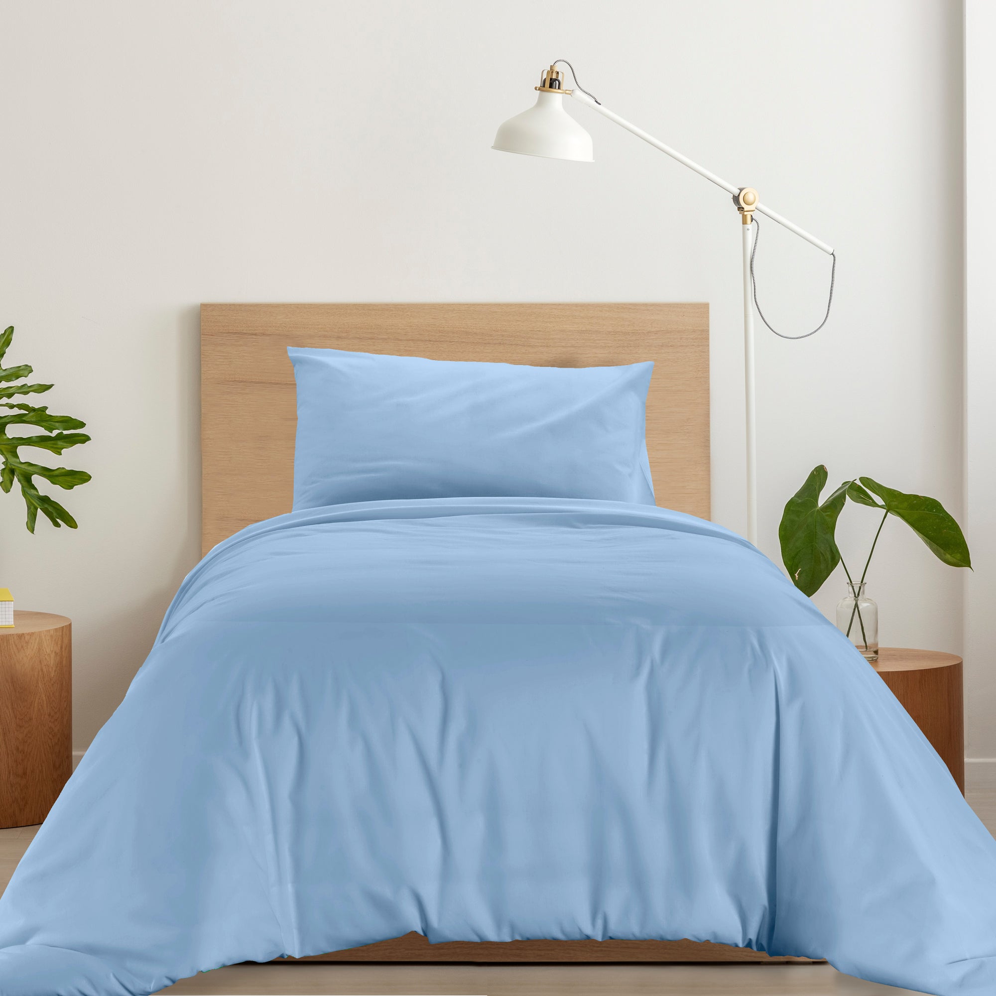 #colore_azzurro