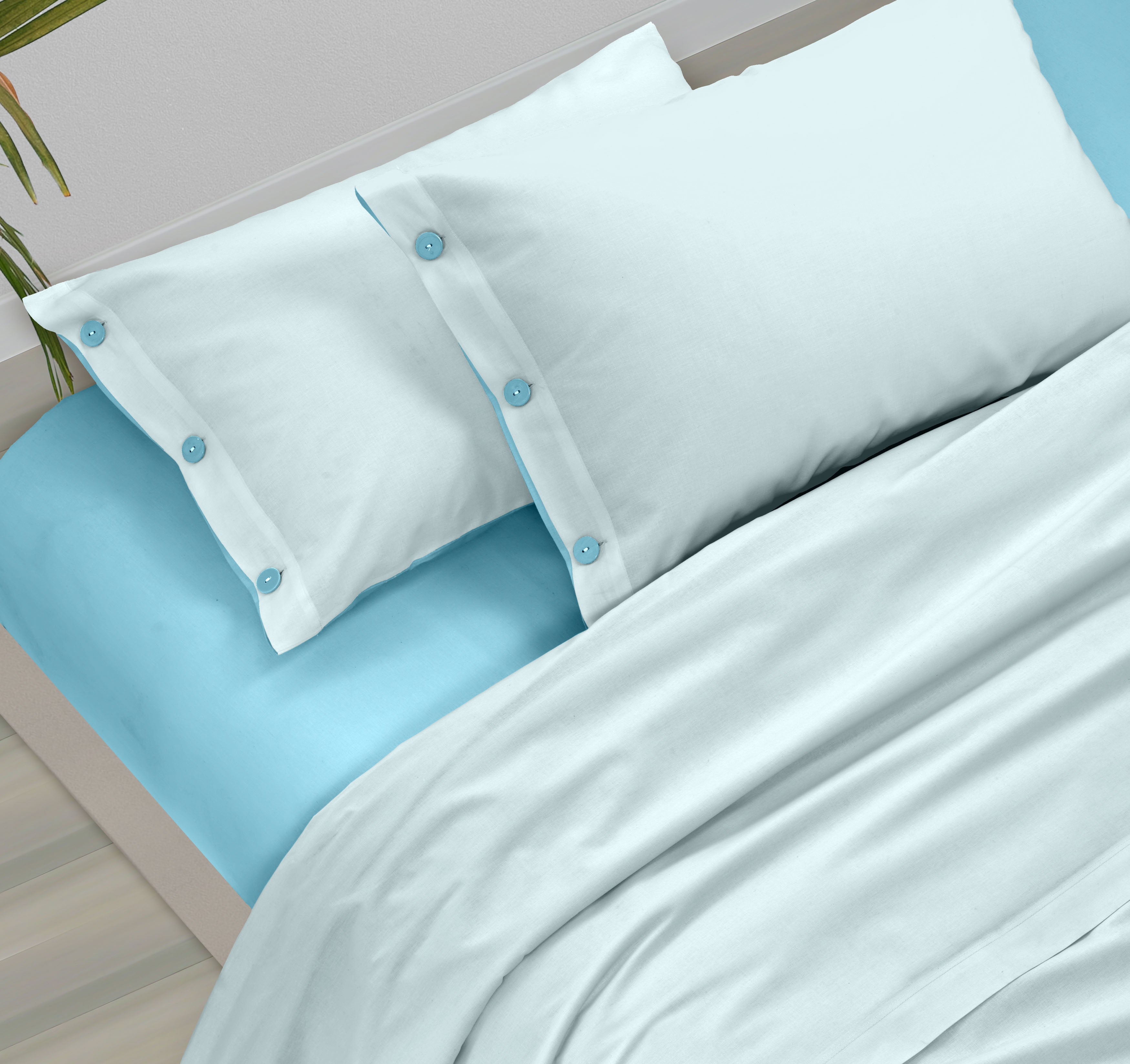 #color_azzurro