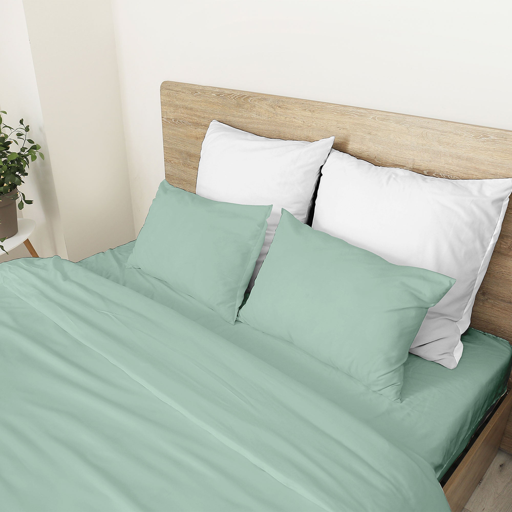 #color_verde light