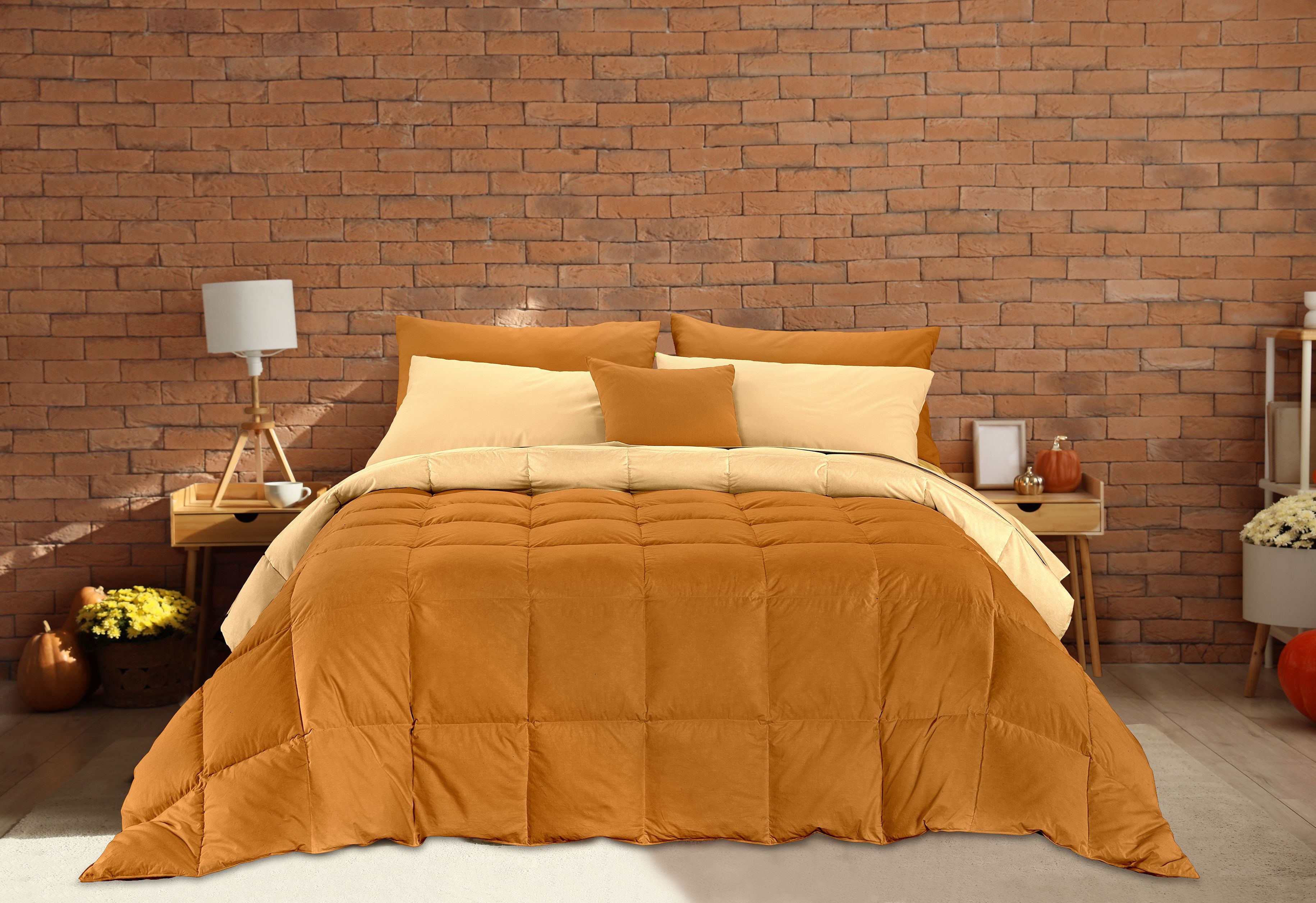 Trapunta Matrimoniale Reversibile Invernale in Morbida microfibra di alta qualità