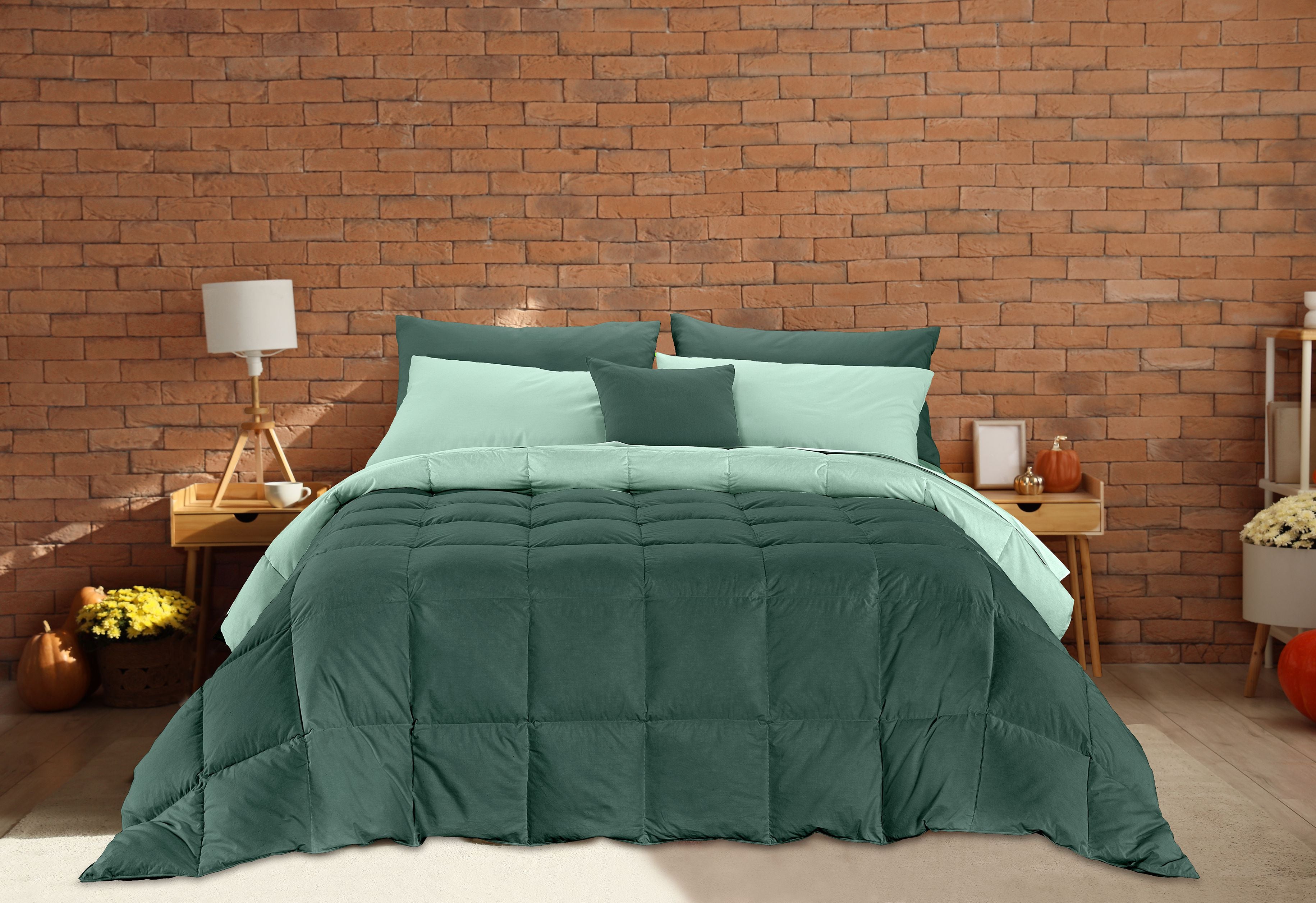 Trapunta Matrimoniale Reversibile Invernale in Morbida microfibra di alta qualità