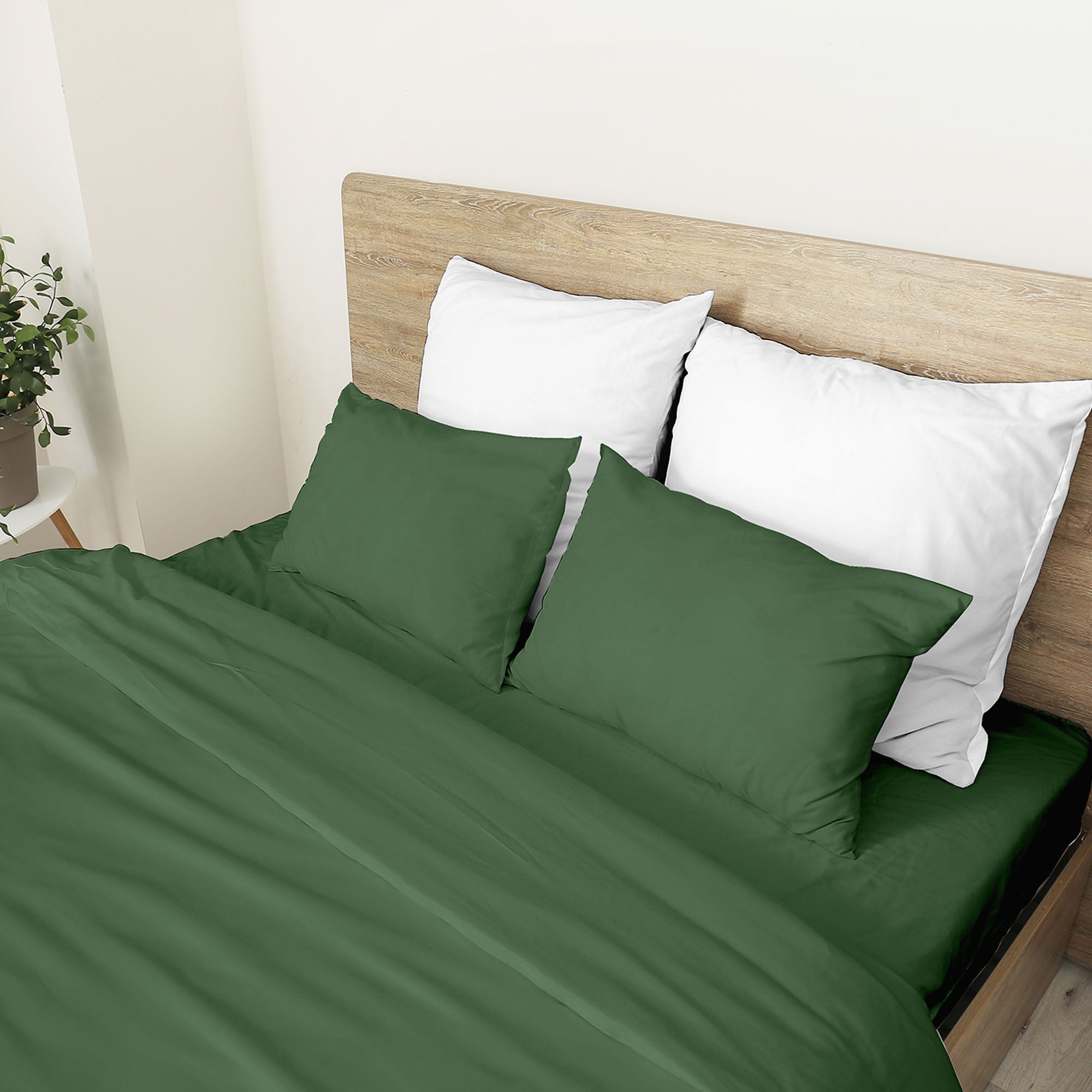 #color_verde scuro